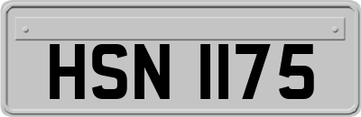 HSN1175