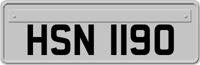 HSN1190