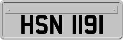 HSN1191