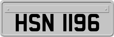 HSN1196