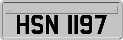 HSN1197