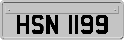HSN1199