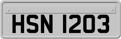 HSN1203