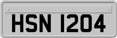 HSN1204