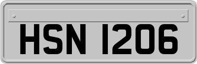 HSN1206