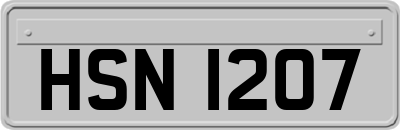 HSN1207