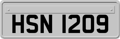 HSN1209