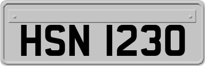 HSN1230