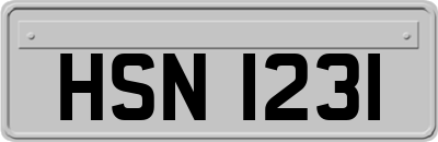 HSN1231