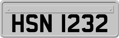 HSN1232