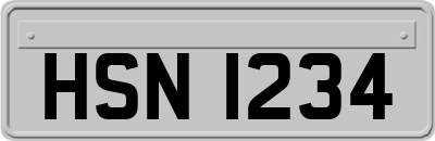HSN1234