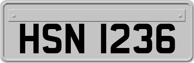 HSN1236