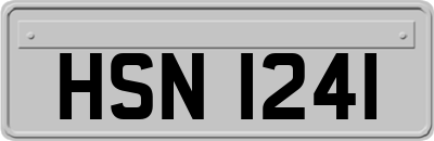 HSN1241