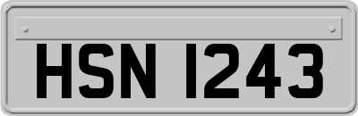 HSN1243