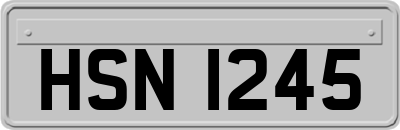 HSN1245