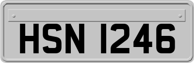 HSN1246