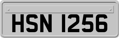 HSN1256