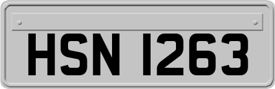 HSN1263