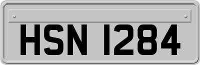 HSN1284