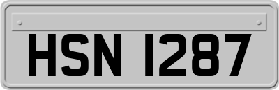HSN1287