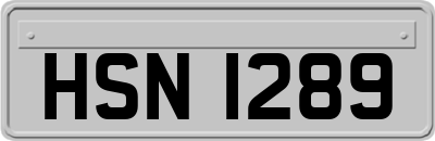 HSN1289