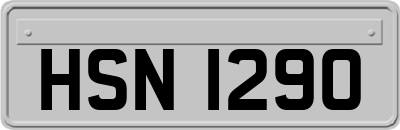 HSN1290
