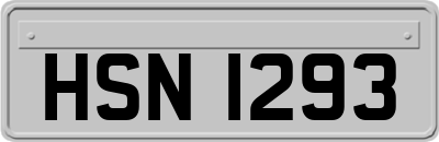 HSN1293