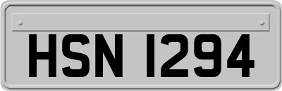 HSN1294