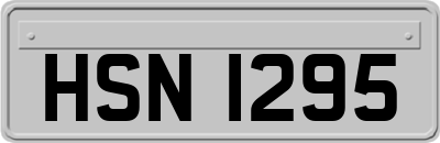 HSN1295