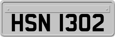 HSN1302
