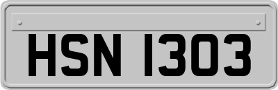 HSN1303