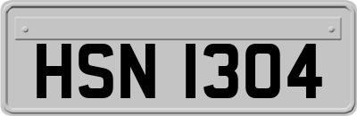 HSN1304