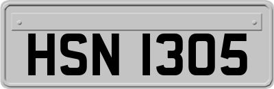 HSN1305