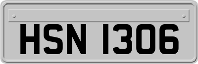 HSN1306