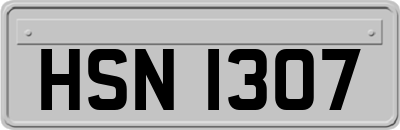 HSN1307