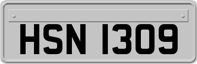 HSN1309