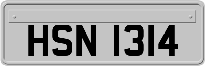 HSN1314