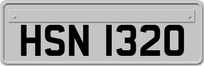 HSN1320