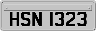 HSN1323