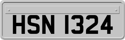 HSN1324