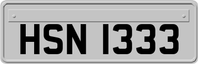 HSN1333