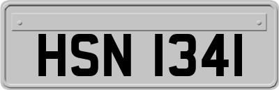 HSN1341