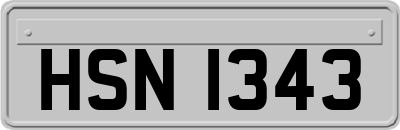 HSN1343