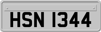 HSN1344