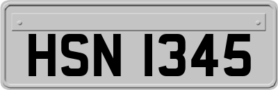 HSN1345