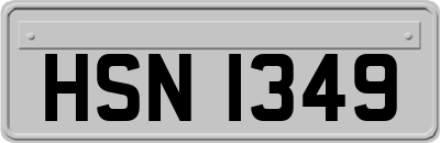 HSN1349