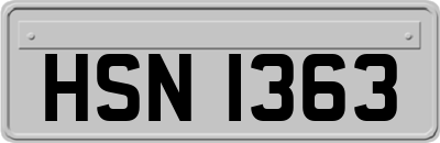 HSN1363
