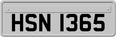 HSN1365