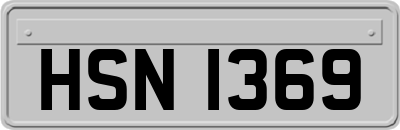 HSN1369