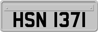 HSN1371